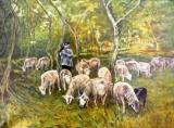 Kudde schapen met herder