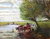 Koeien aan water - versie 2