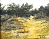 Veluwe bij Hulshorst