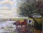 Koeien aan water - versie 1