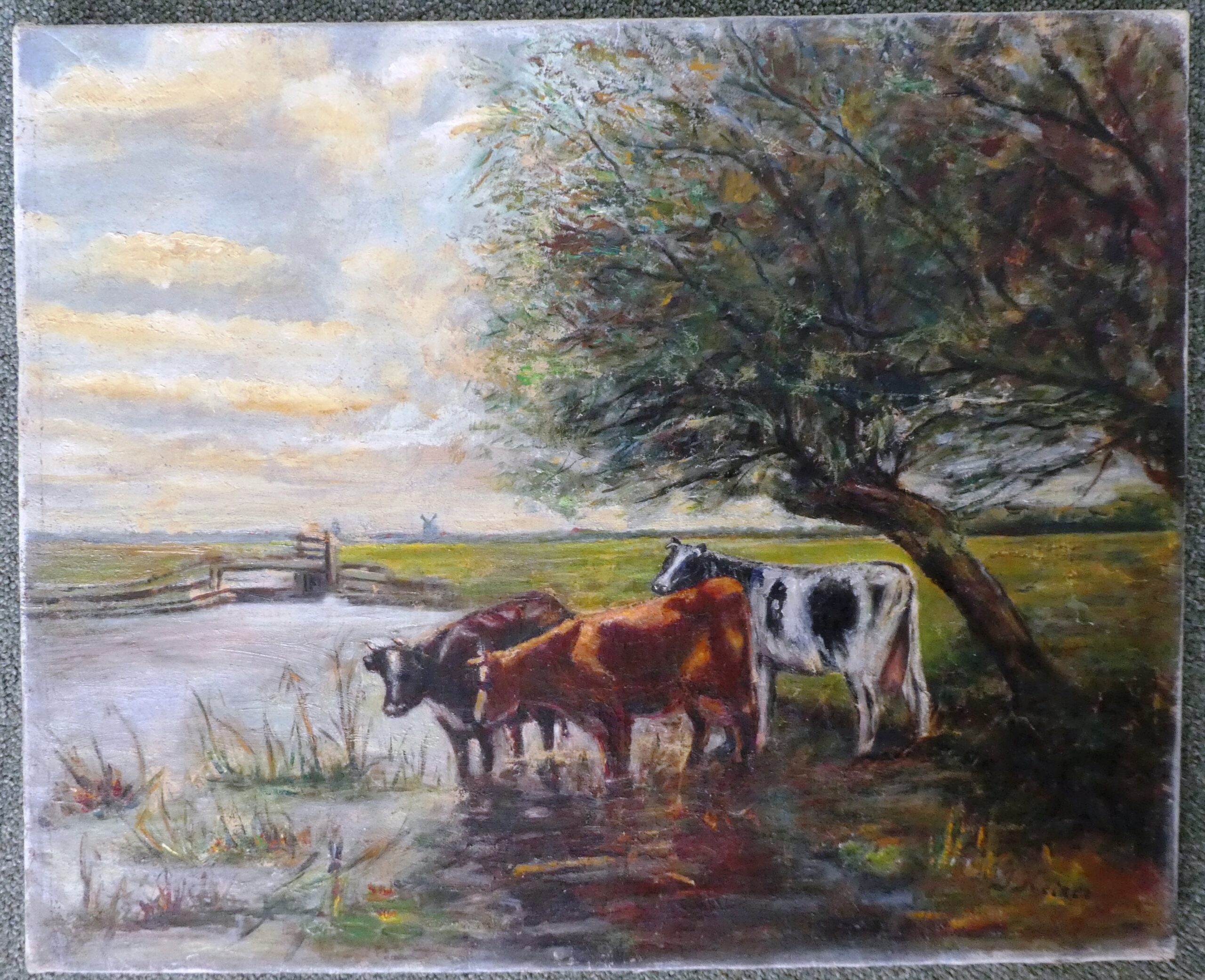 Koeien aan water - versie 1  €30,-